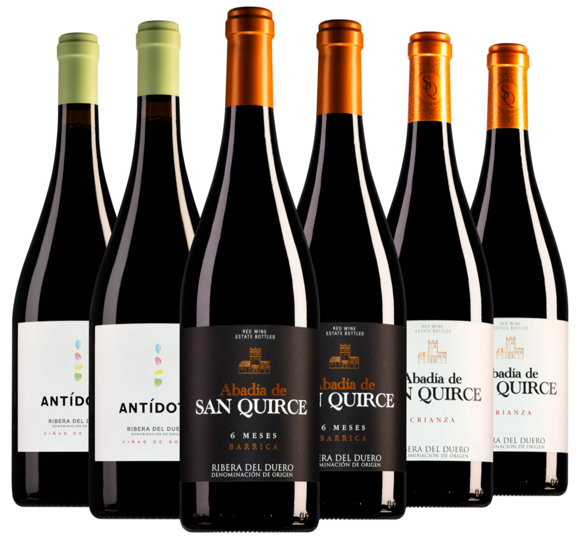 Wijnpakket Ribera del Duero (6 flessen)