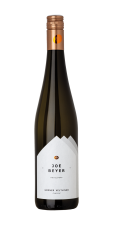 Weingut Beyer - Grüner Veltliner Classic