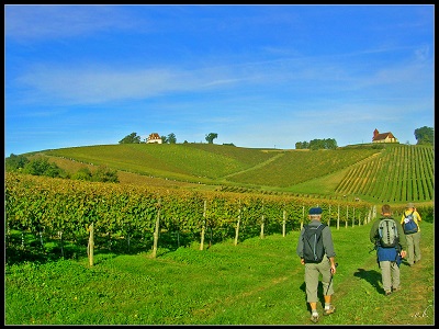 De schitterende wijngaarden van Domaine des Cassagnoles